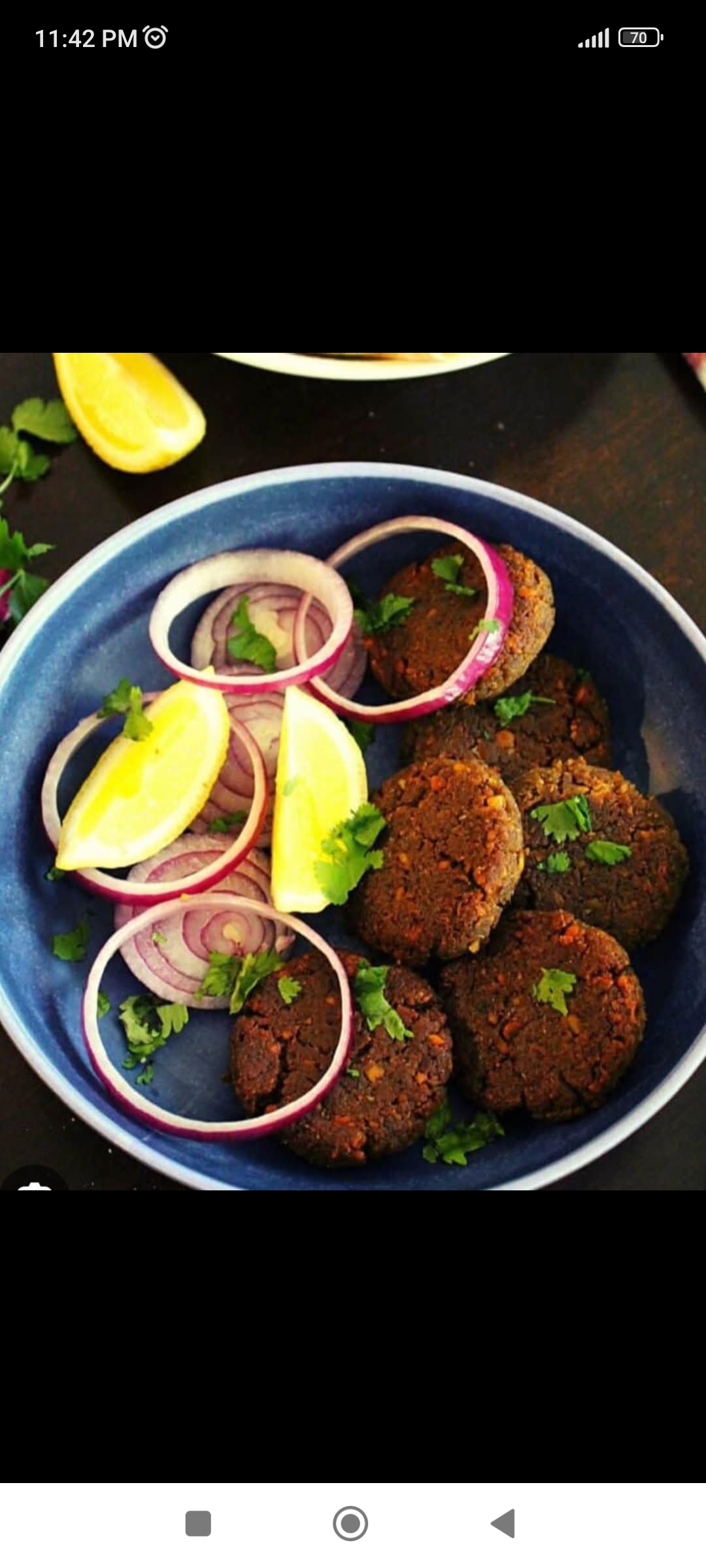 Egg shami kebab